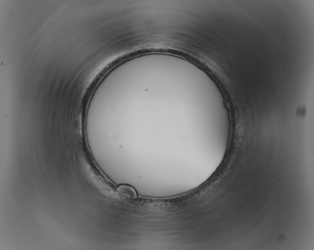 X0000111490934200907281223