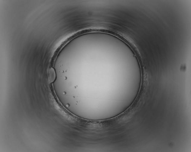 X0000111490935200907281223