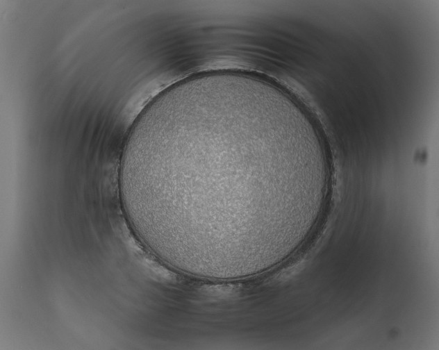 X0000111490937200907281223