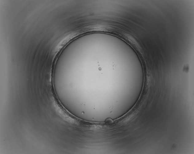 X0000111490938200907281224