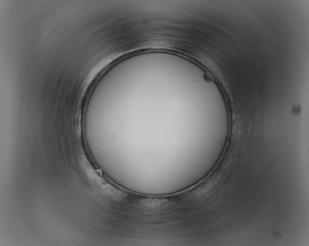 X0000111490939200907281224