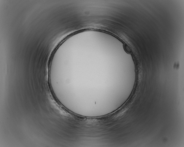 X0000111490940200907281224