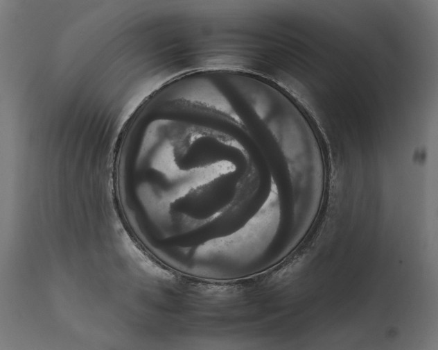 X0000111490941200907281224