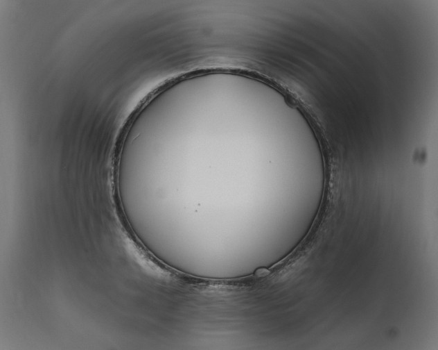 X0000111490942200907281224