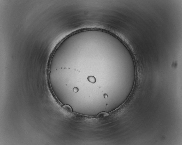 X0000111490943200907281224