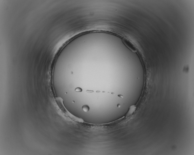 X0000111490944200907281224