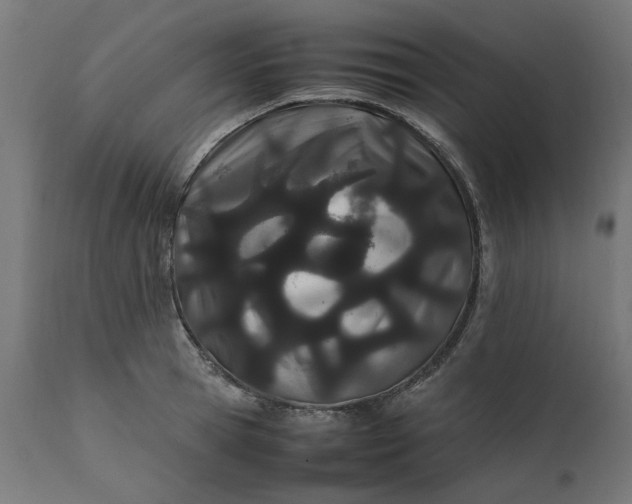 X0000111490945200907281224