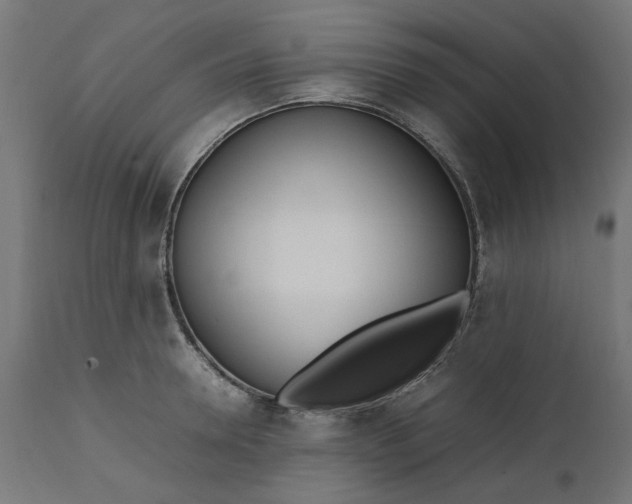 X0000111490946200907281224