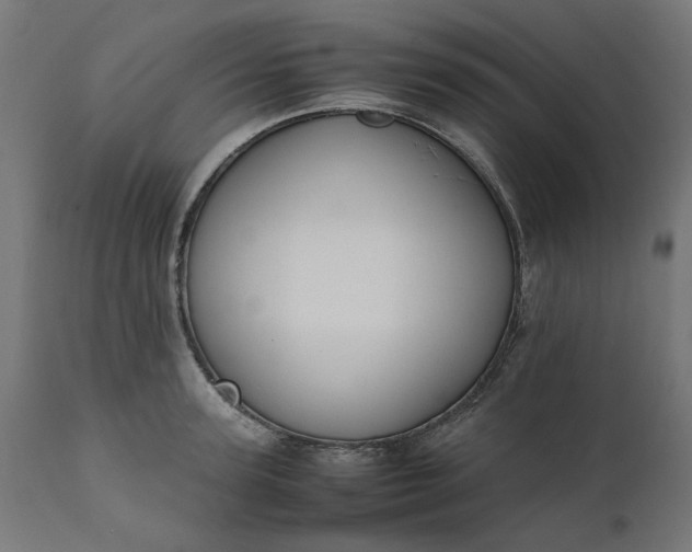 X0000111490947200907281224