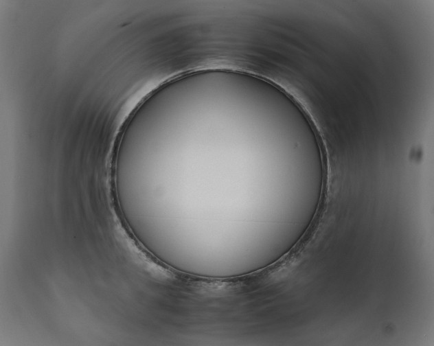 X0000111490949200907281224