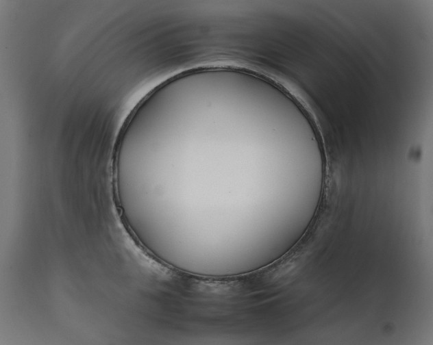 X0000111490951200907281224