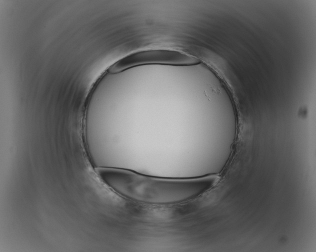 X0000111490952200907281224