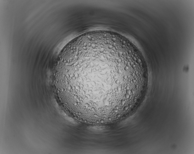 X0000111490953200907281224