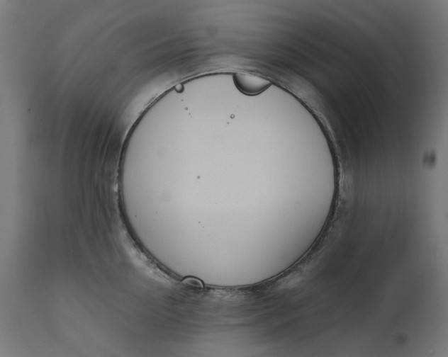 X0000111490954200907281224