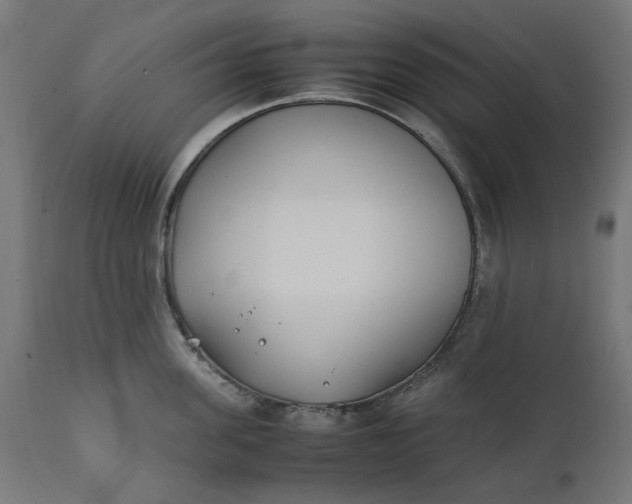 X0000111490955200907281224