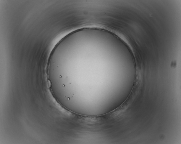 X0000111490959200907281224