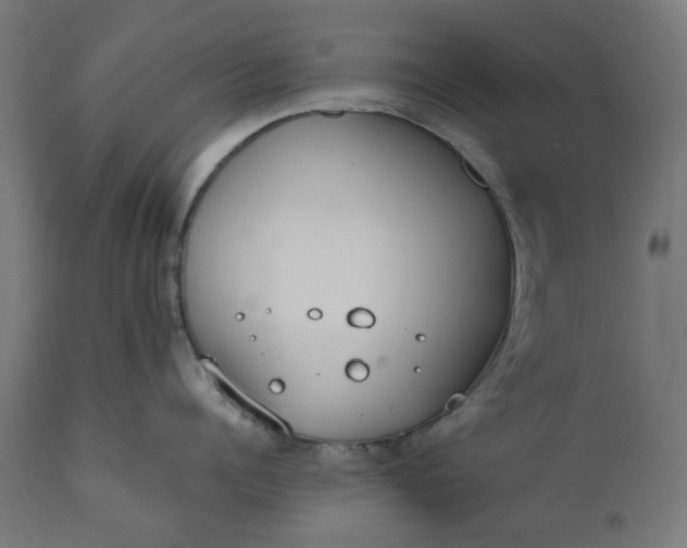 X0000111490960200907281224