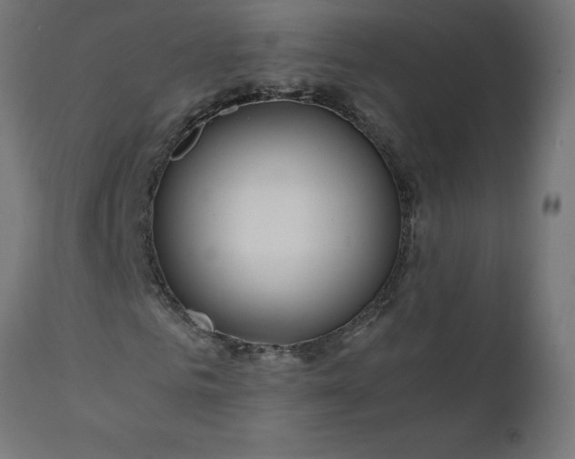 X0000111490961200907281223