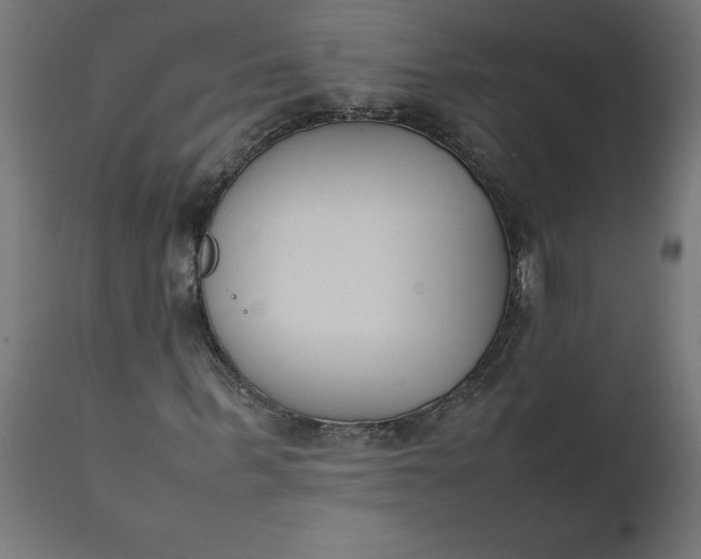 X0000111490963200907281223