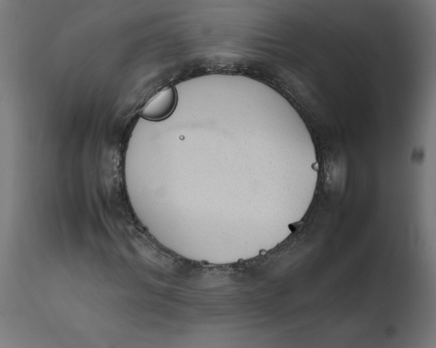 X0000111490964200907281223