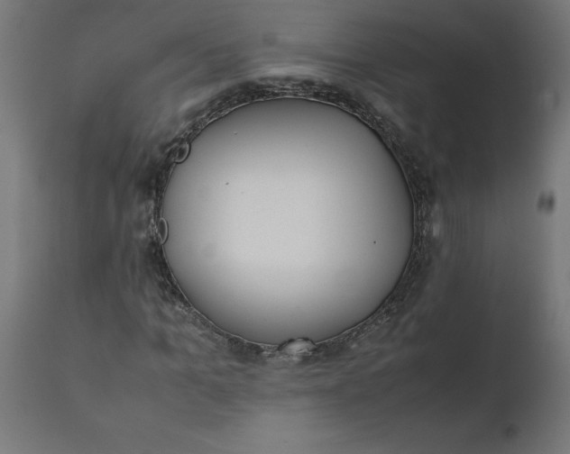 X0000111490965200907281223