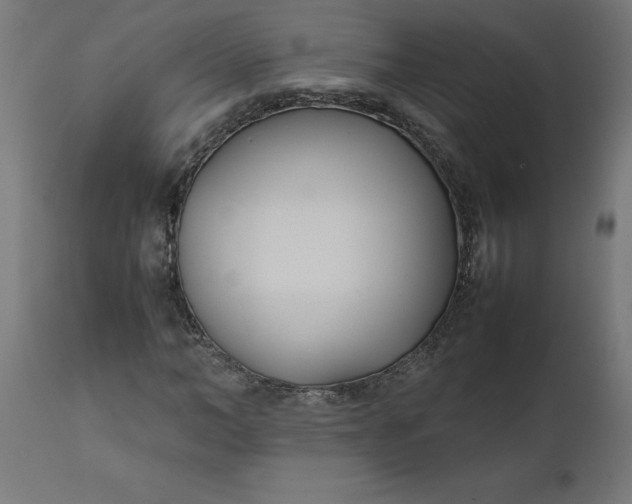 X0000111490966200907281223