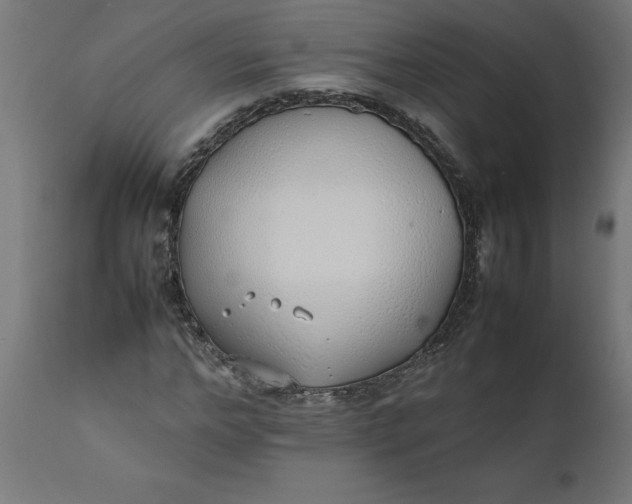 X0000111490968200907281223