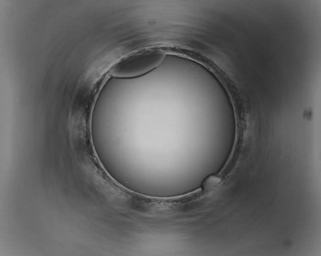 X0000111490969200907281223