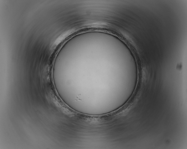 X0000111490970200907281223