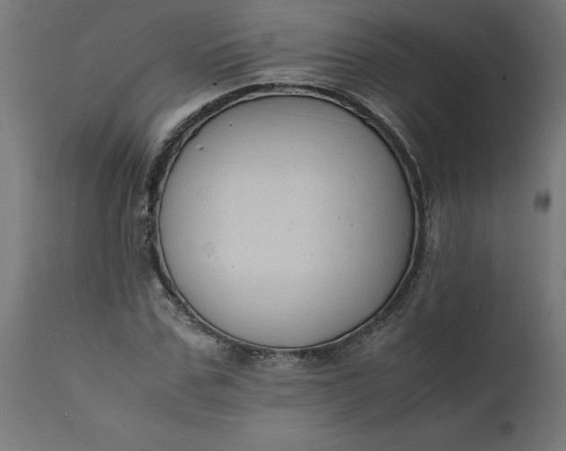 X0000111490971200907281223