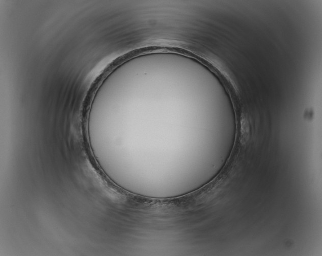 X0000111490972200907281223