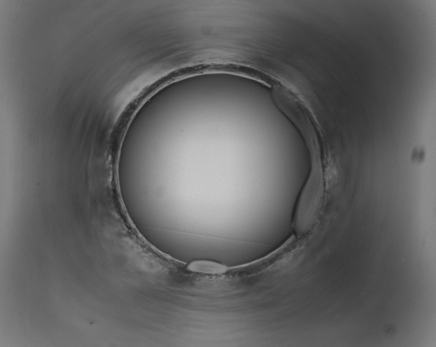 X0000111490973200907281223