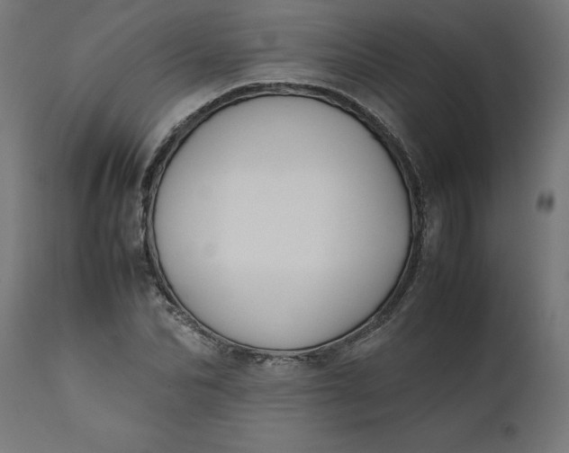 X0000111490974200907281223