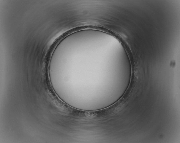 X0000111490975200907281223