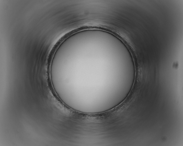 X0000111490976200907281223