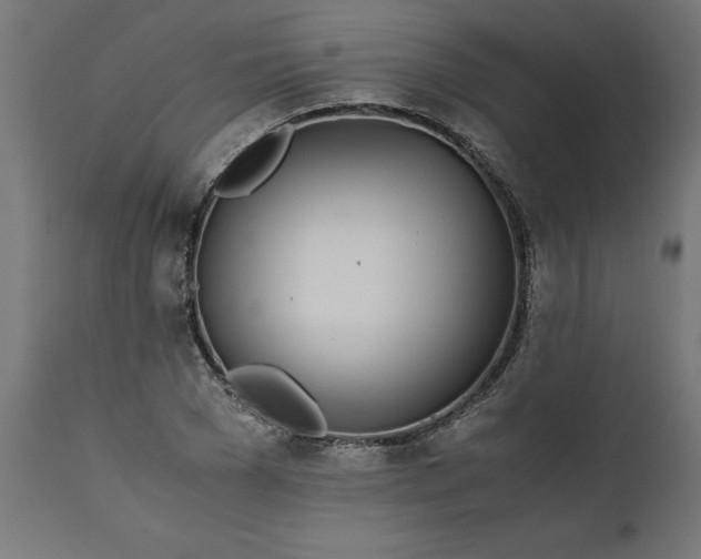 X0000111490977200907281223