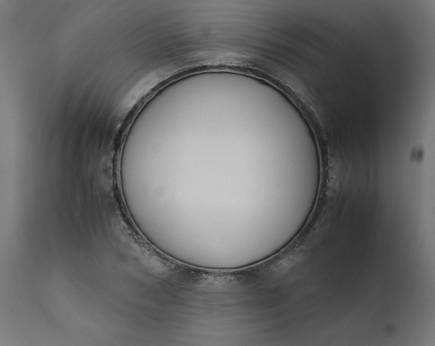 X0000111490978200907281223