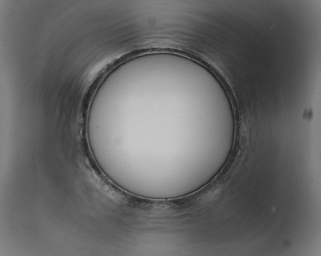 X0000111490979200907281223