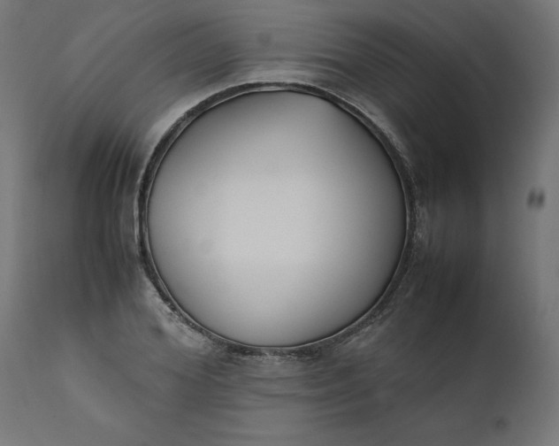 X0000111490980200907281223