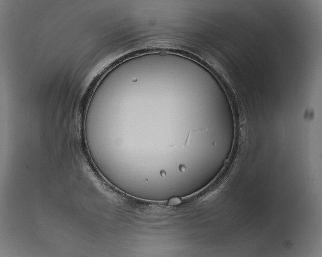 X0000111490981200907281223