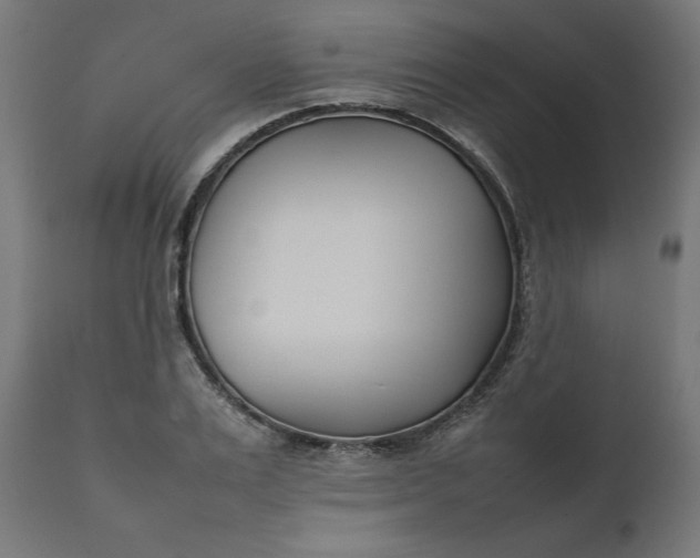 X0000111490983200907281223