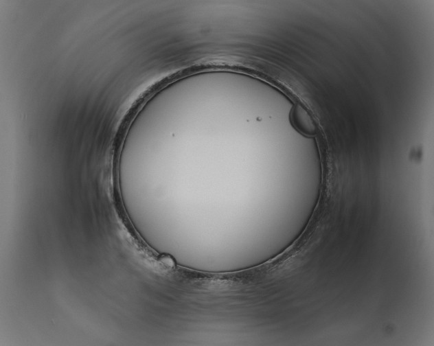 X0000111490984200907281223