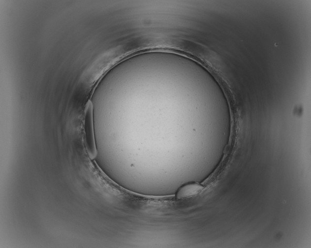 X0000111490985200907281223