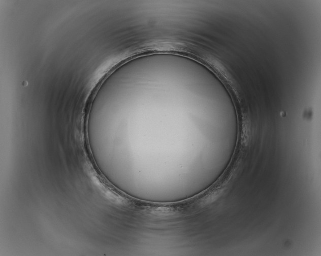 X0000111490986200907281223