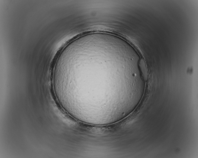 X0000111490987200907281223