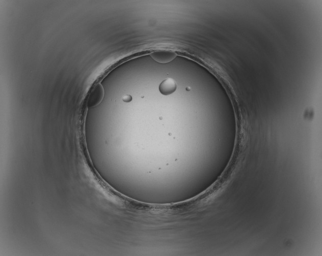 X0000111490989200907281223