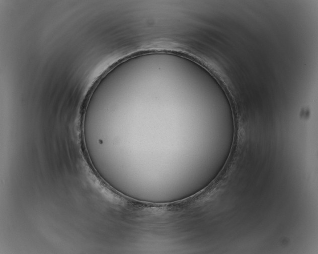 X0000111490990200907281223