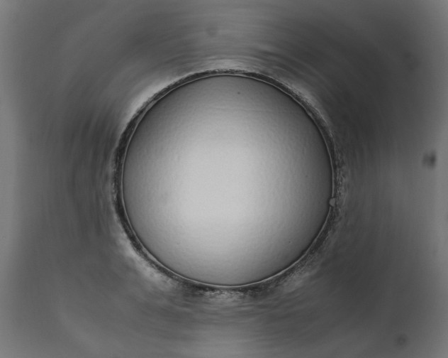 X0000111490991200907281222