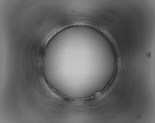 X0000111490993200907281222