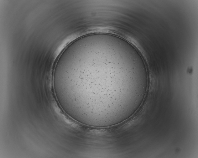 X0000111490994200907281222